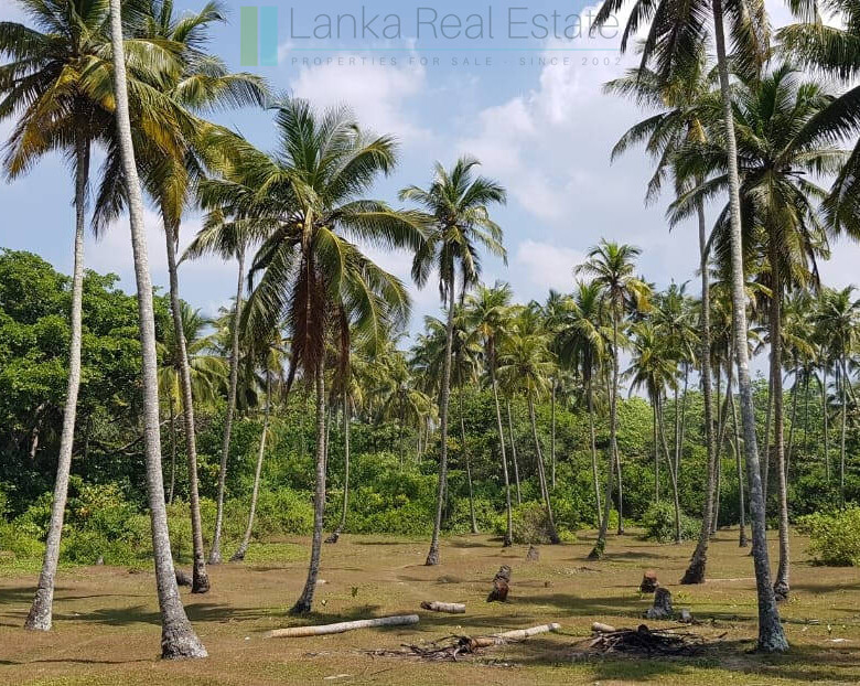 Stunning seven acre beachfront near Dikwella