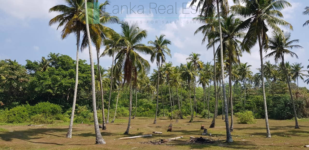 Stunning seven acre beachfront near Dikwella
