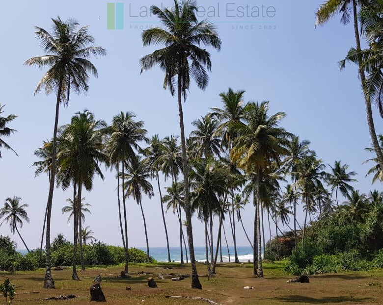 Stunning seven acre beachfront near Dikwella