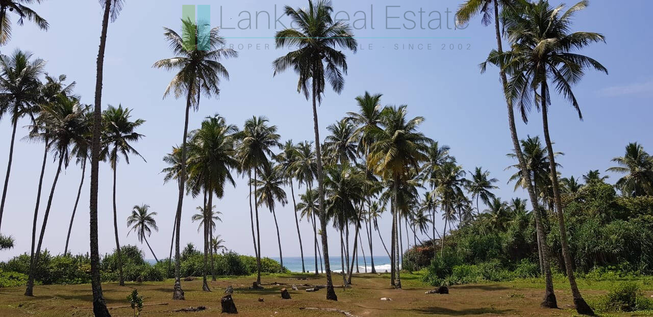 Stunning seven acre beachfront near Dikwella