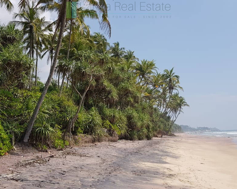Stunning seven acre beachfront near Dikwella