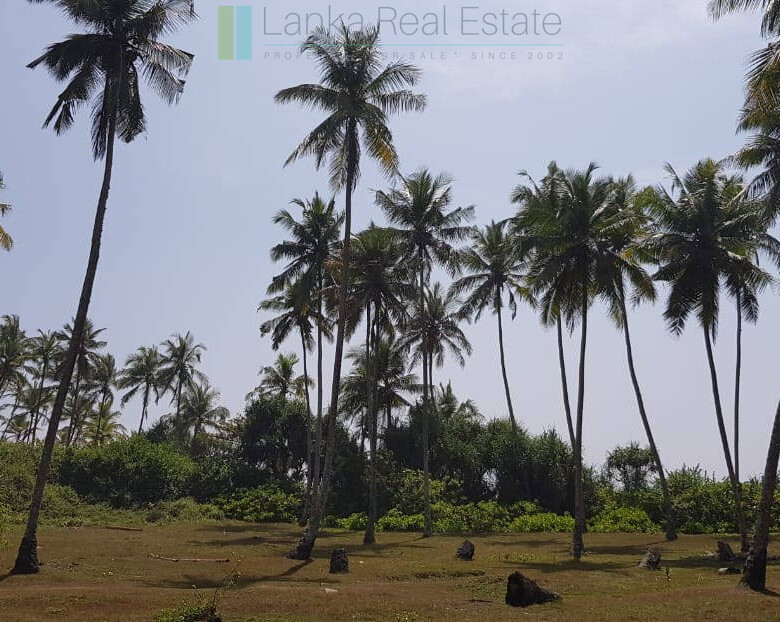 Stunning seven acre beachfront near Dikwella