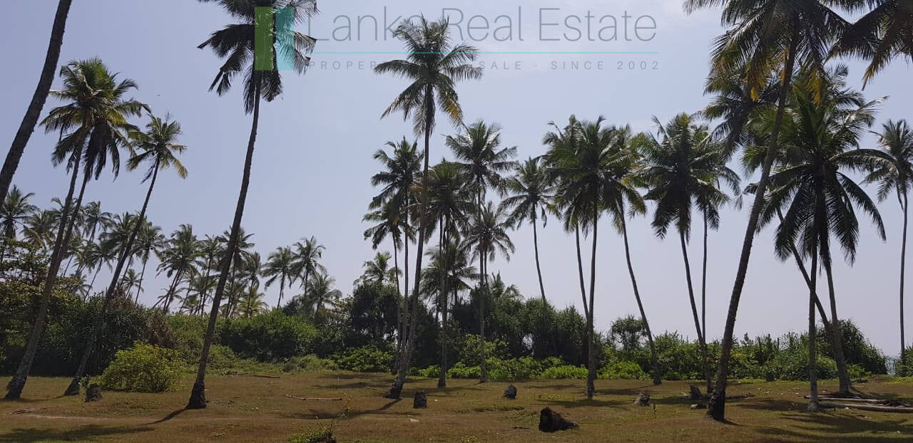 Stunning seven acre beachfront near Dikwella