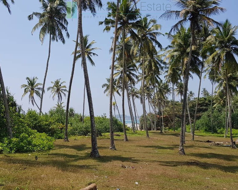 Stunning seven acre beachfront near Dikwella