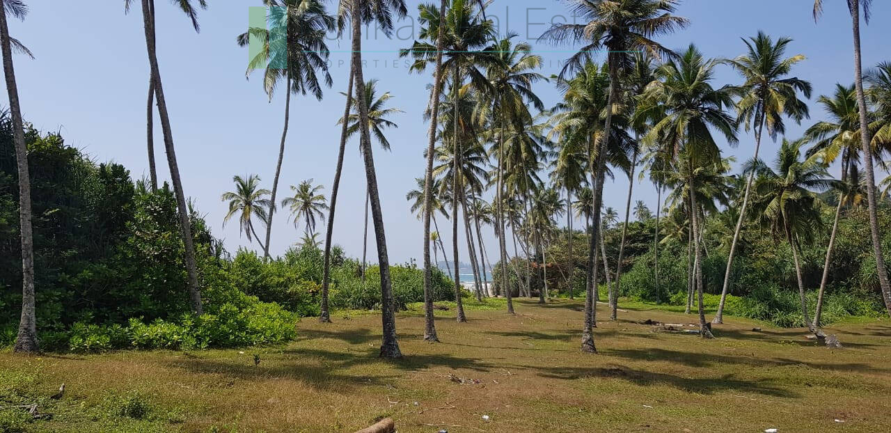 Stunning seven acre beachfront near Dikwella