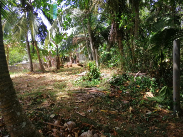 Elevated plot with ocean views at Talalla