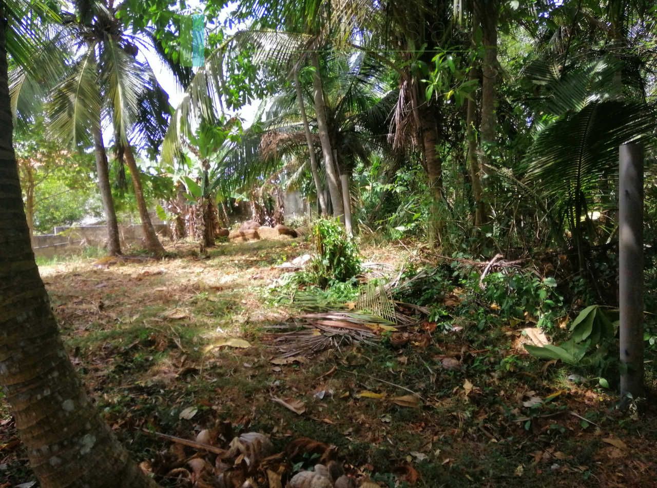 1-2_web Elevated plot with ocean views at Talalla