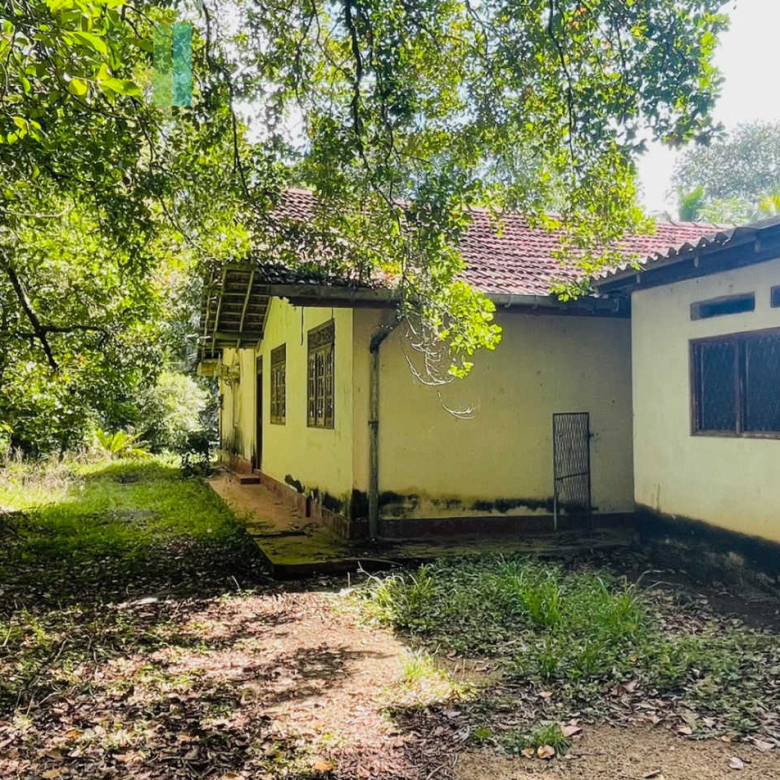 Two acre paddy view with potential in Habaraduwa