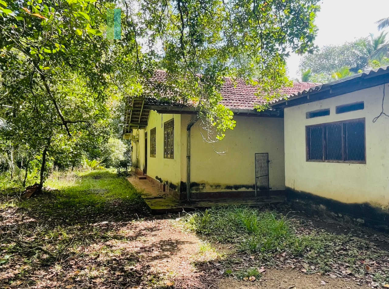 Two acre paddy view with potential in Habaraduwa