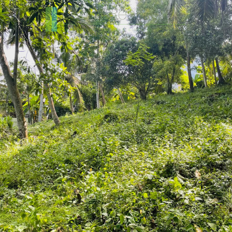 Elevated plot with ocean views at Talalla