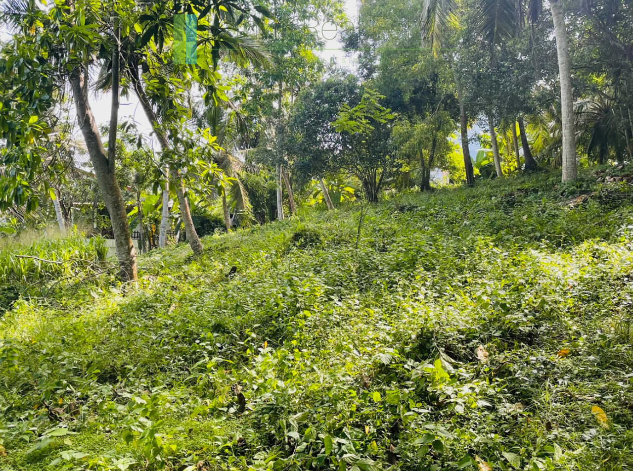 Elevated plot with ocean views at Talalla
