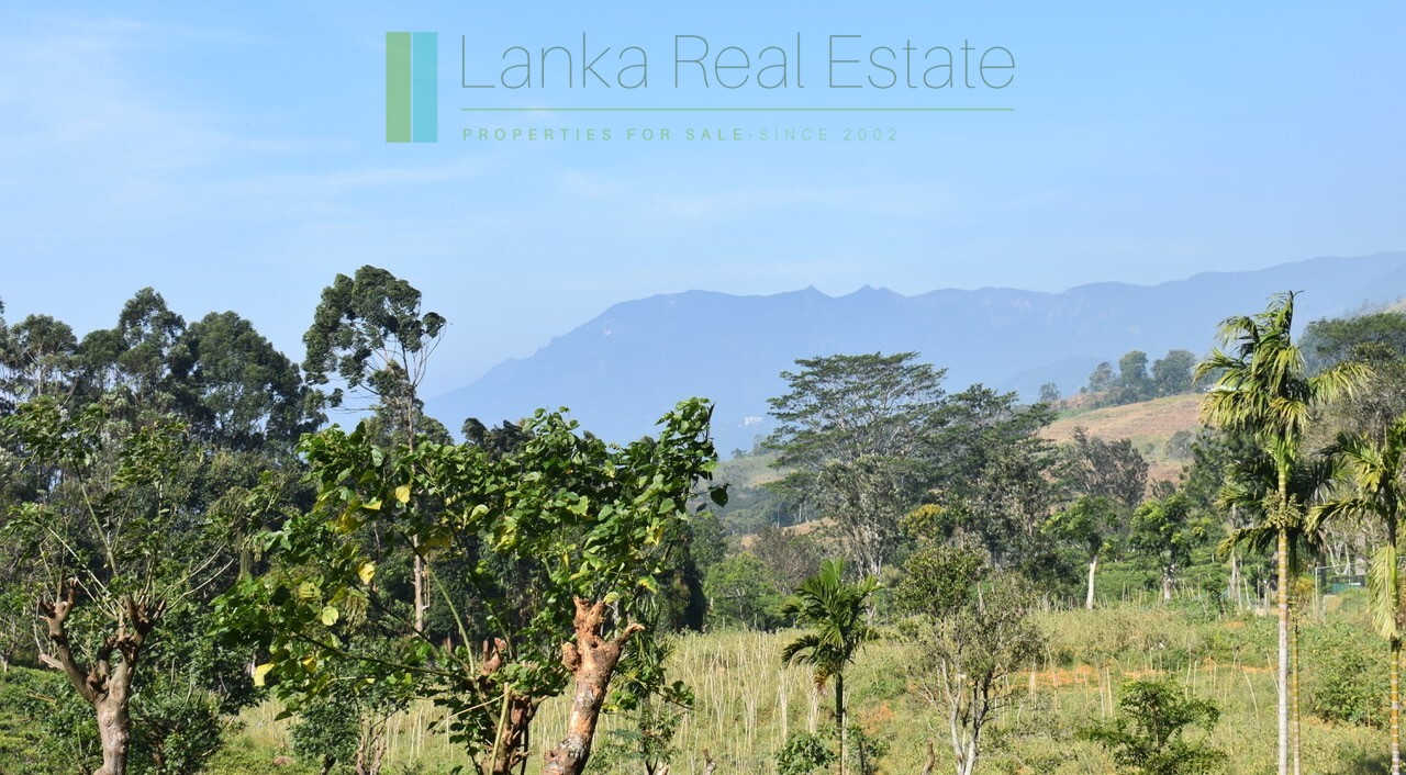 Five acre hill country estate with tea and vegetable cultivation