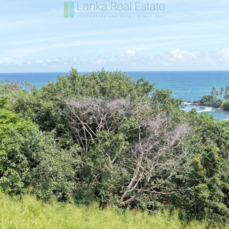 Elevated ocean view land near Tangalle