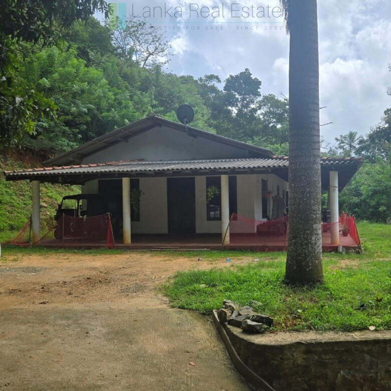 Elevated ocean view land near Tangalle