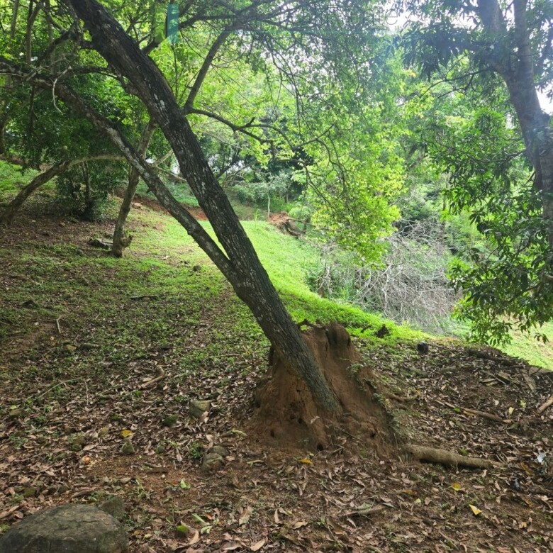 Elevated ocean view land near Tangalle