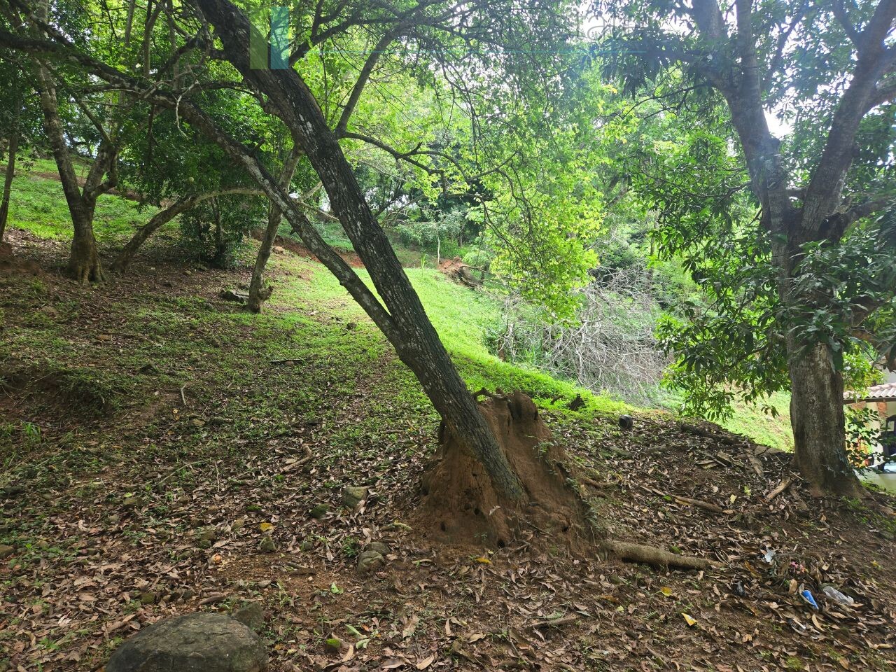 Elevated ocean view land near Tangalle
