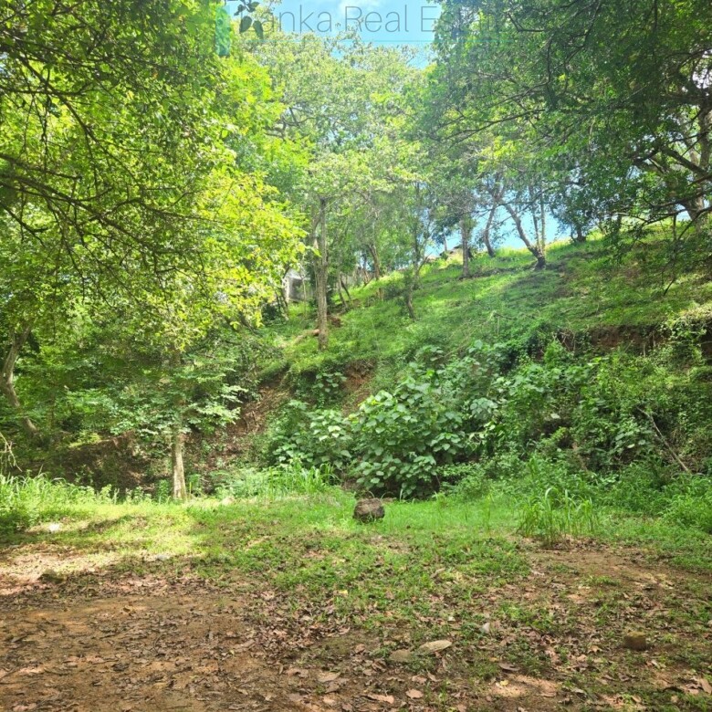 Elevated ocean view land near Tangalle
