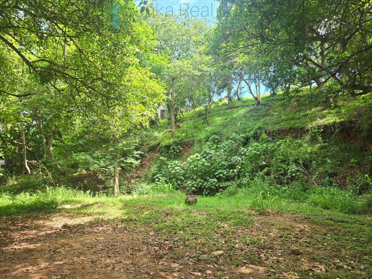 Elevated ocean view land near Tangalle