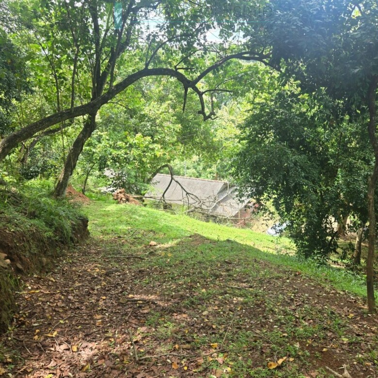 Elevated ocean view land near Tangalle