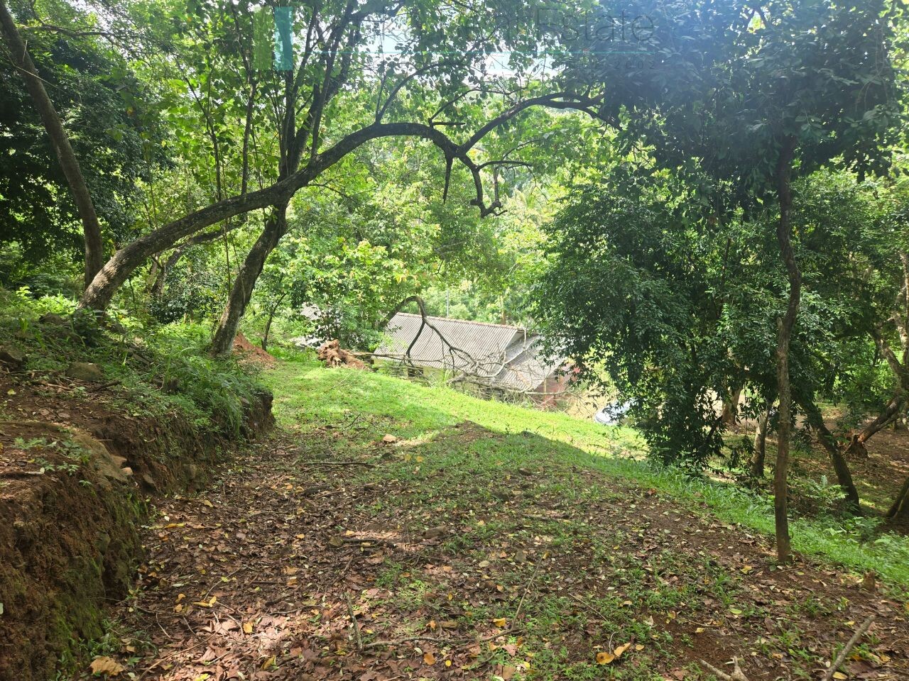 Elevated ocean view land near Tangalle