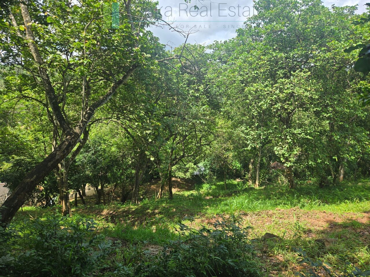 Elevated ocean view land near Tangalle