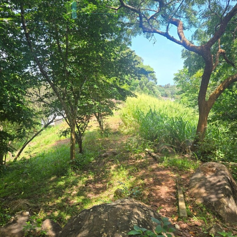 Elevated ocean view land near Tangalle