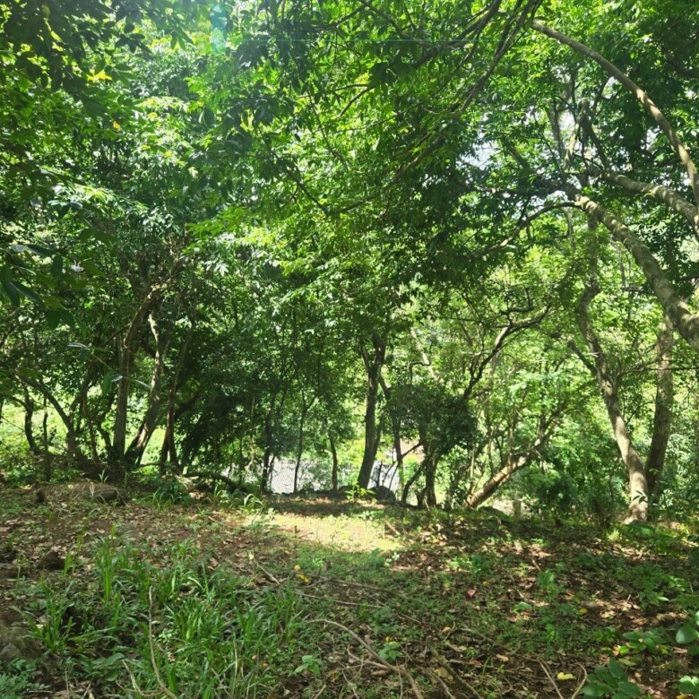 Elevated ocean view land near Tangalle