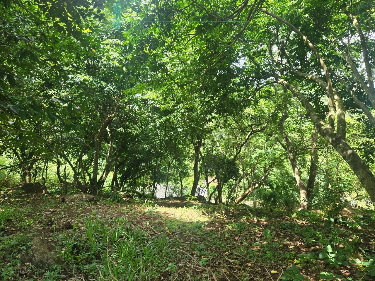 Elevated ocean view land near Tangalle