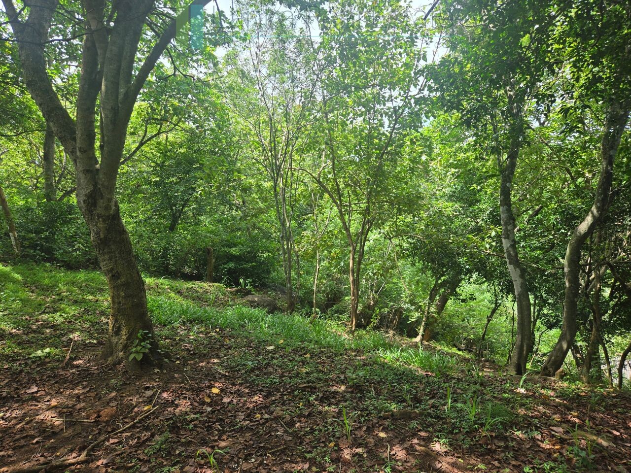 Elevated ocean view land near Tangalle
