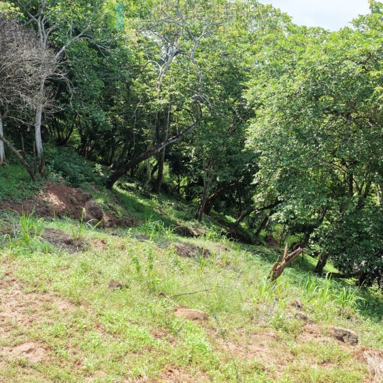 Elevated ocean view land near Tangalle