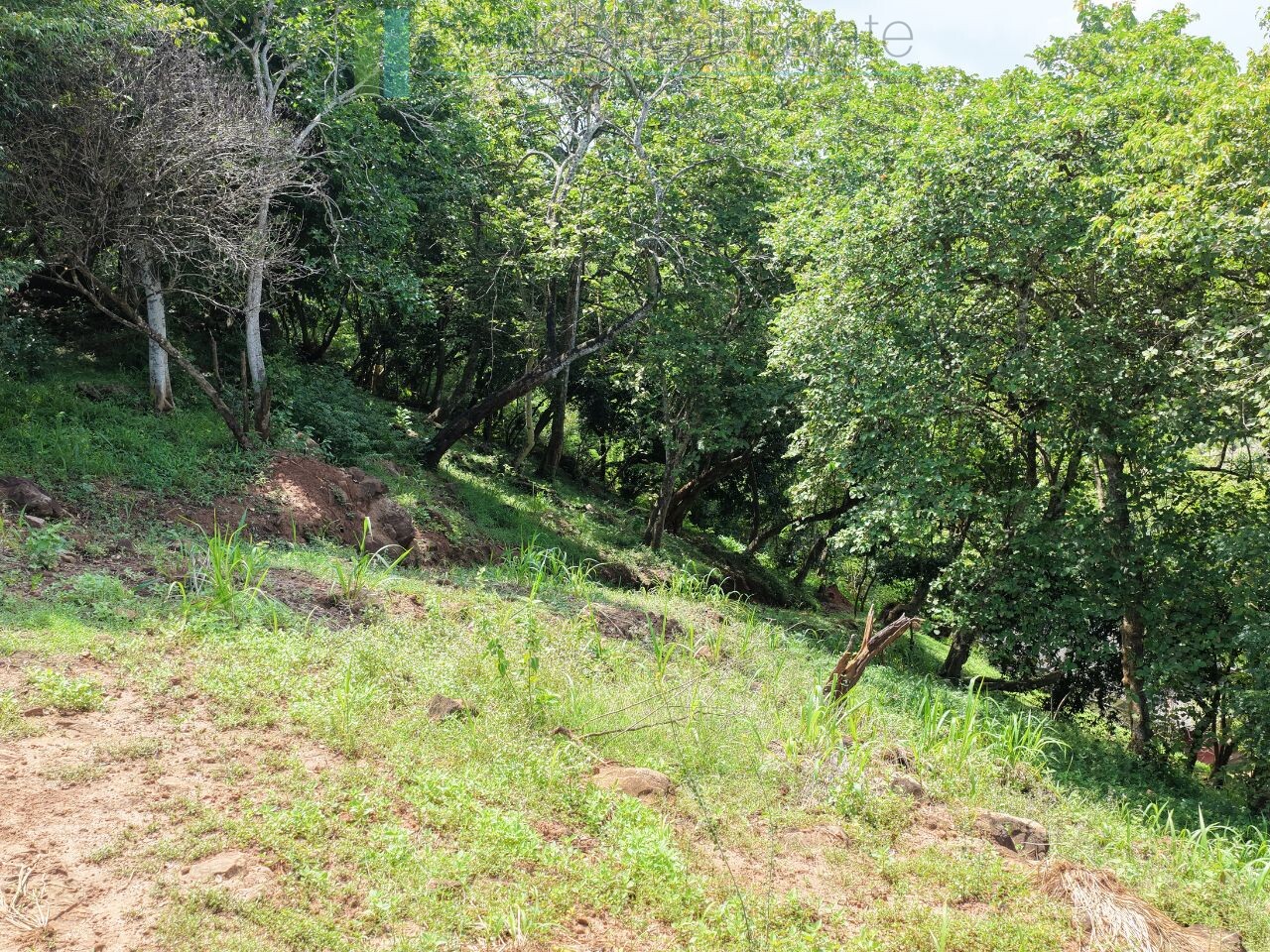 Elevated ocean view land near Tangalle