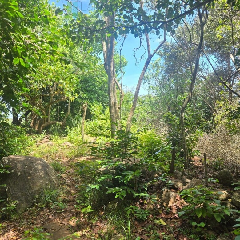 Elevated ocean view land near Tangalle
