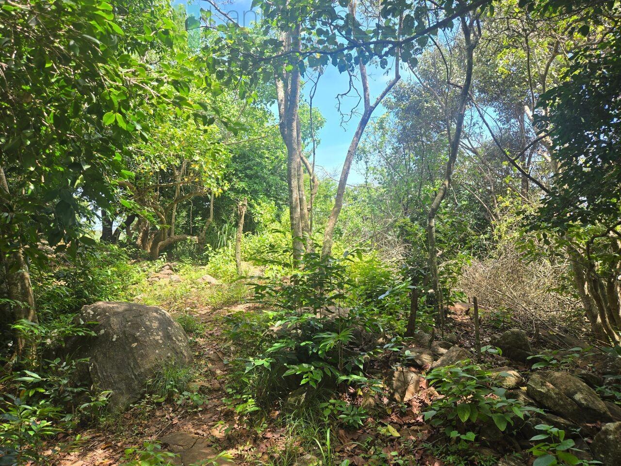 Elevated ocean view land near Tangalle