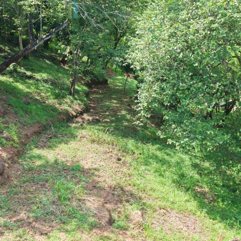 Elevated ocean view land near Tangalle