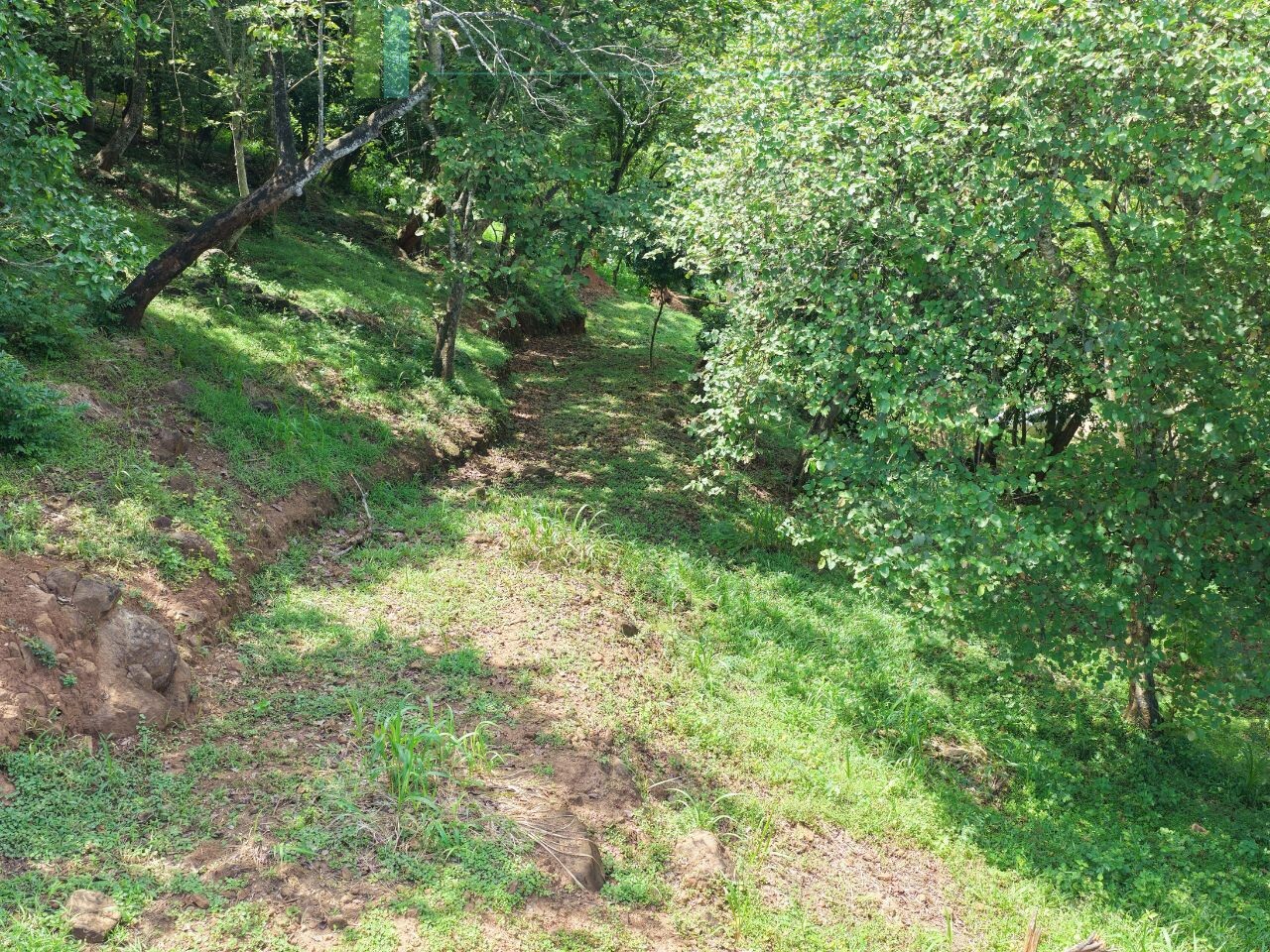 Elevated ocean view land near Tangalle