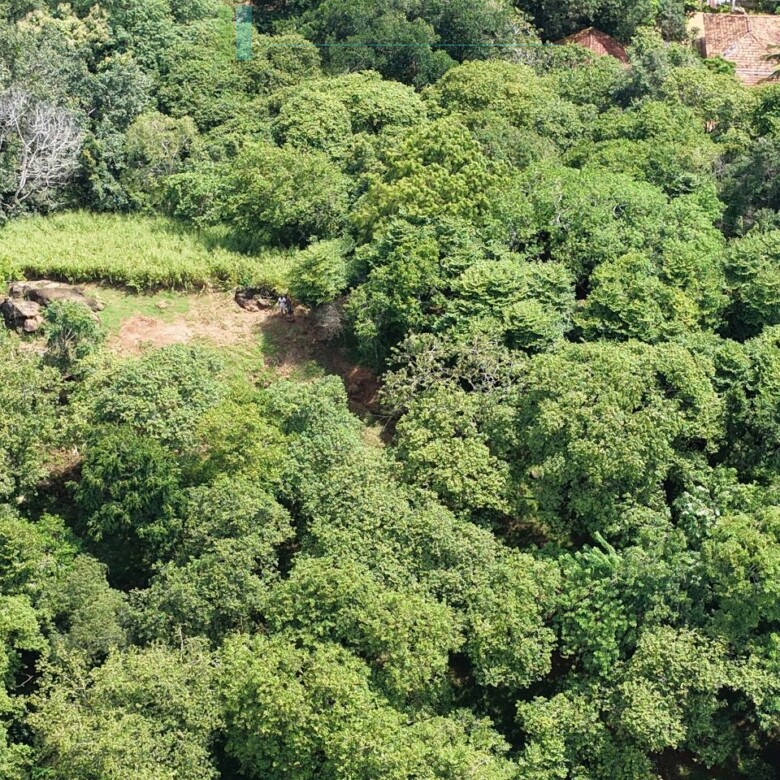 Elevated ocean view land near Tangalle