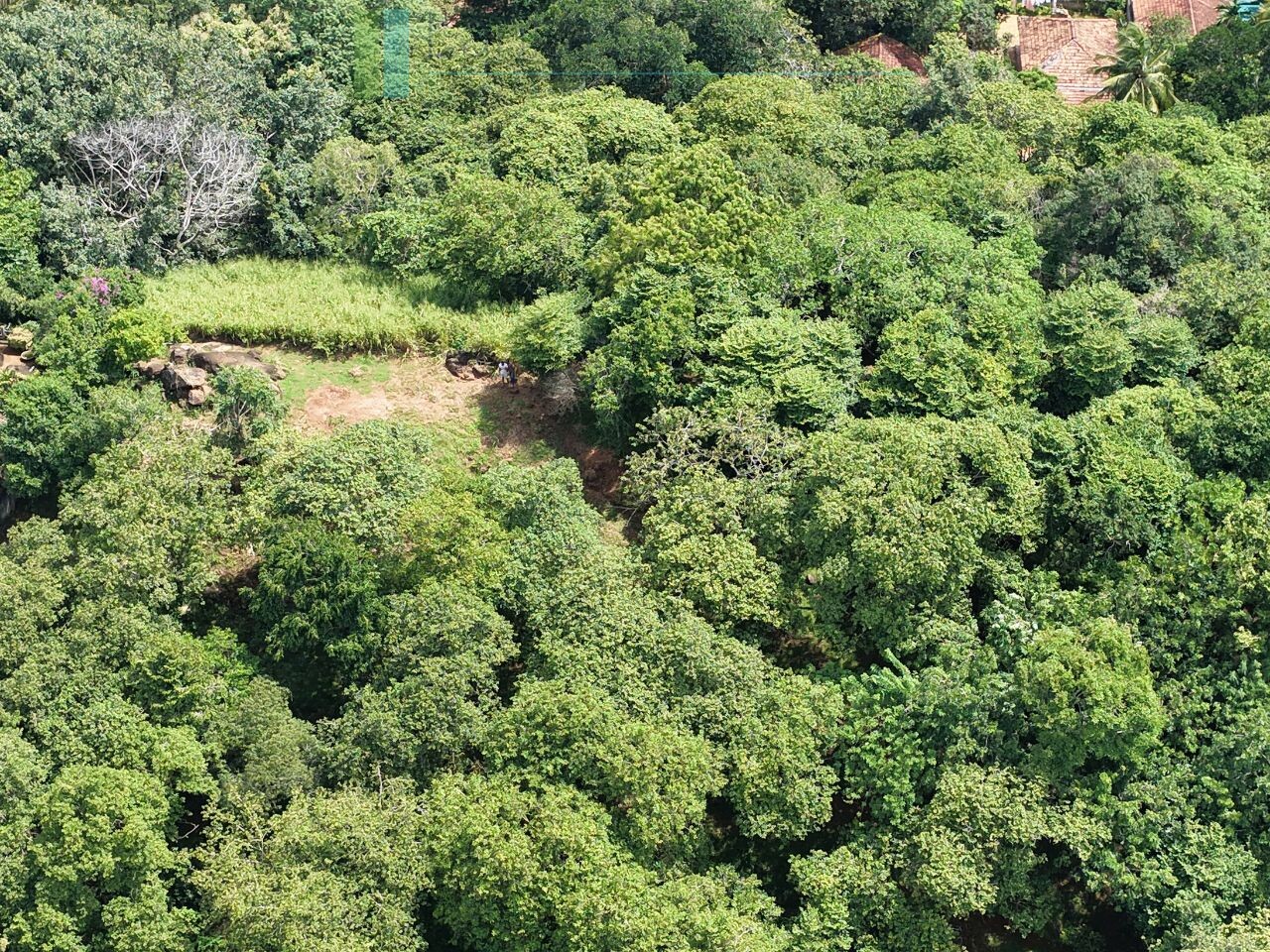 Elevated ocean view land near Tangalle