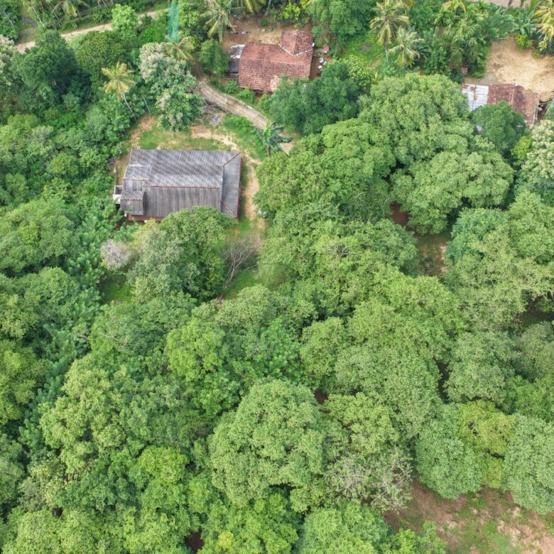 Elevated ocean view land near Tangalle
