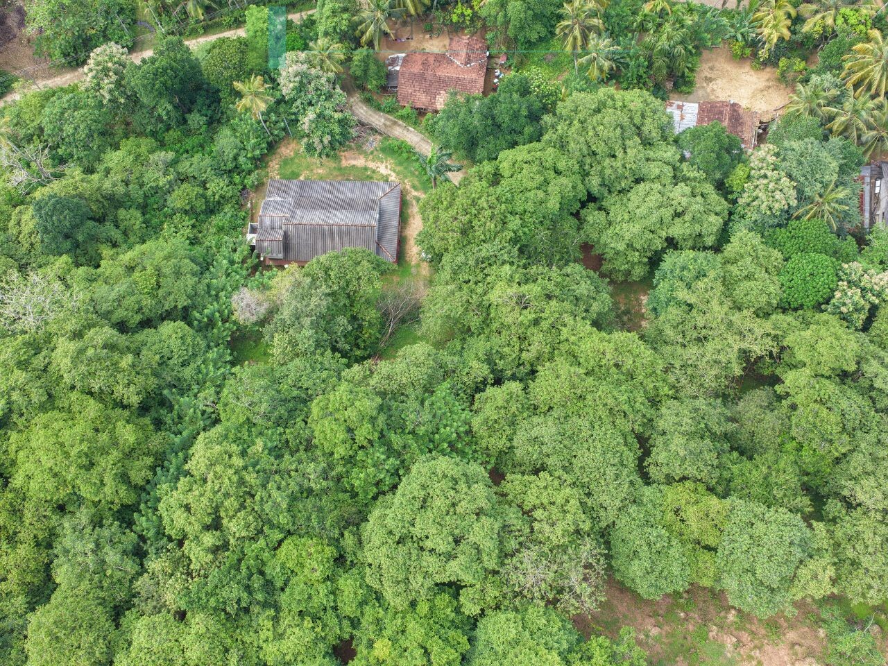 Elevated ocean view land near Tangalle