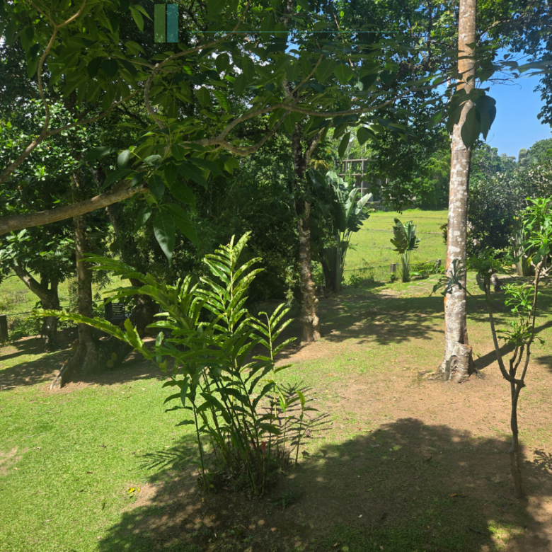 Immaculately presented modernist villa