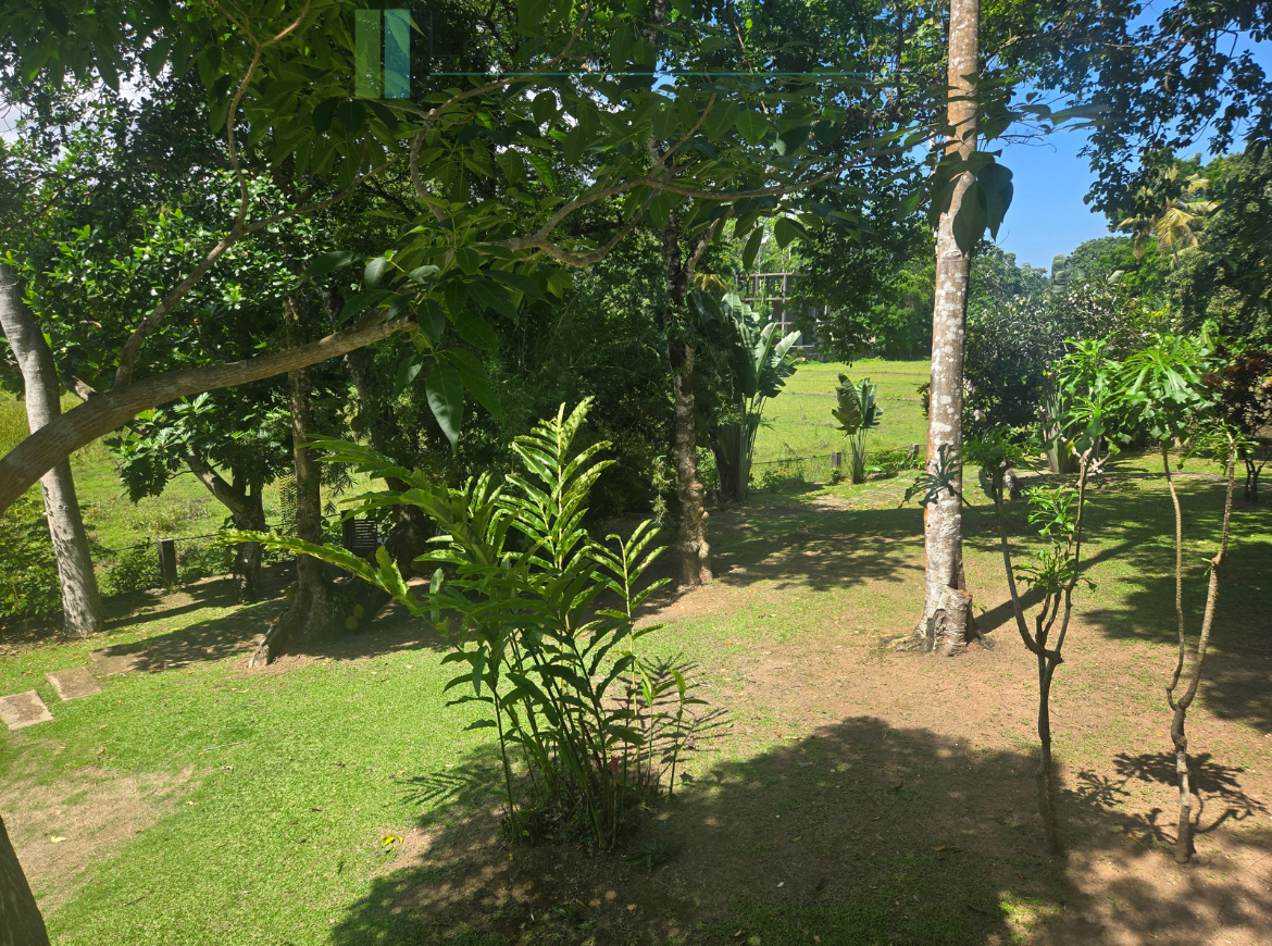 Immaculately presented modernist villa