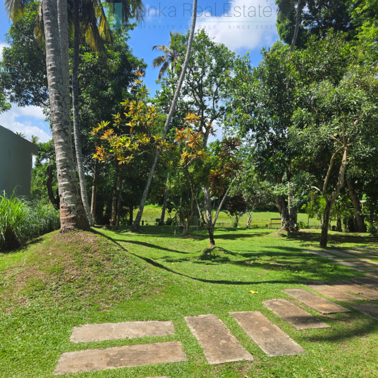 Immaculately presented modernist villa