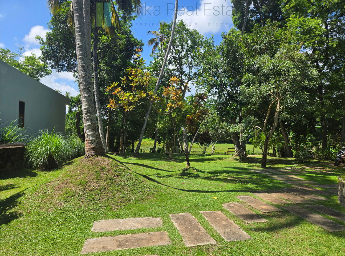 Immaculately presented modernist villa