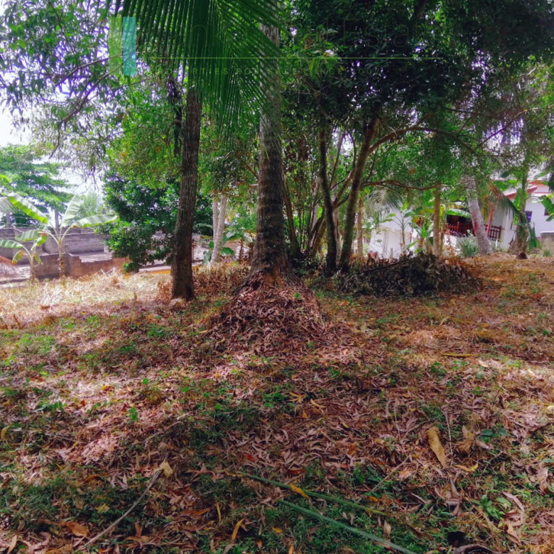 Elevated plot with ocean views at Talalla