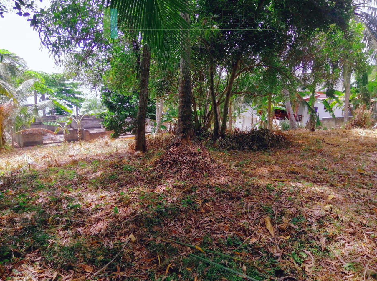 Elevated plot with ocean views at Talalla