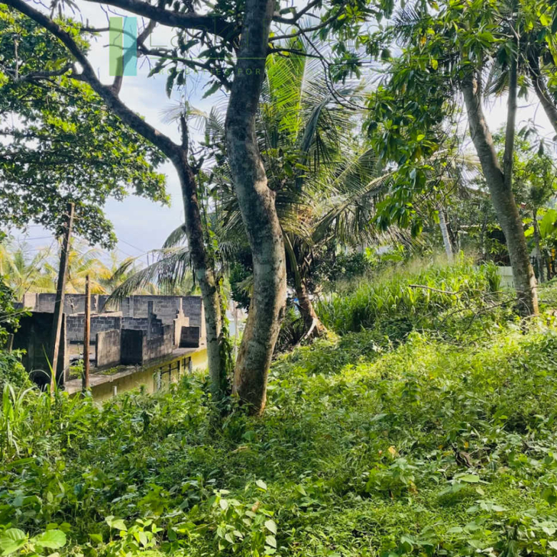 Elevated plot with ocean views at Talalla