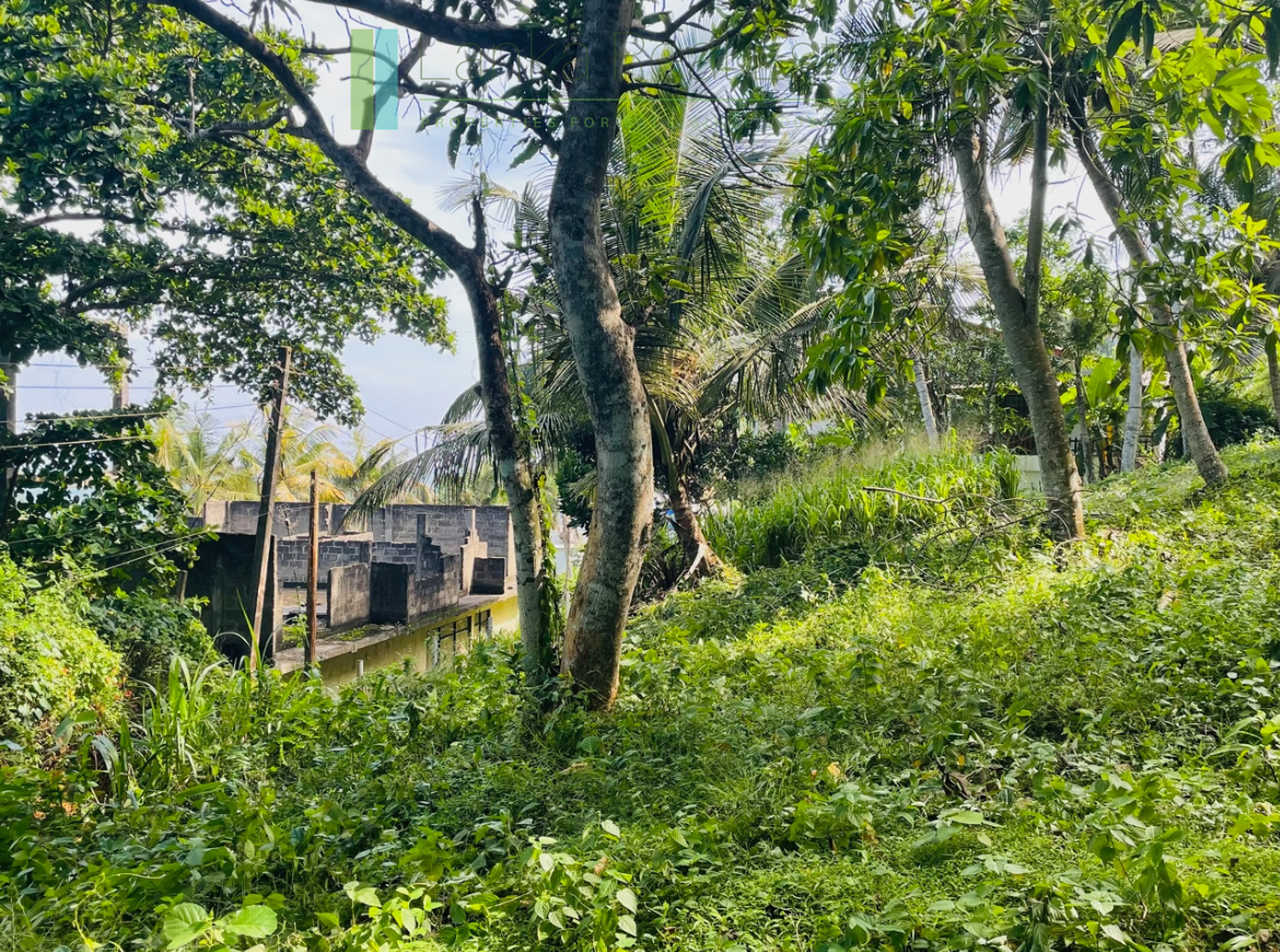 Elevated plot with ocean views at Talalla