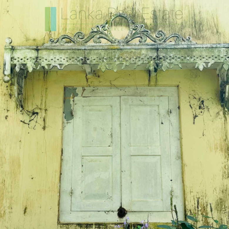 Two acre paddy view with potential in Habaraduwa