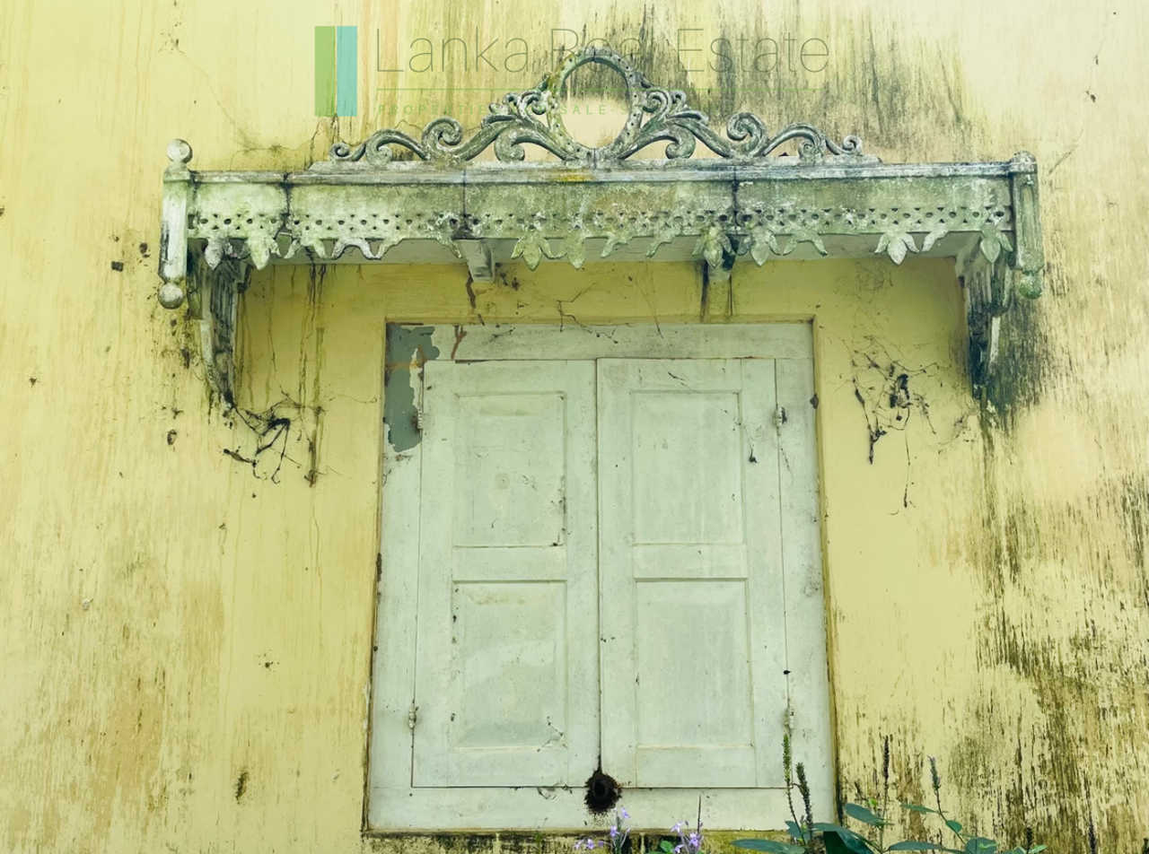 Two acre paddy view with potential in Habaraduwa
