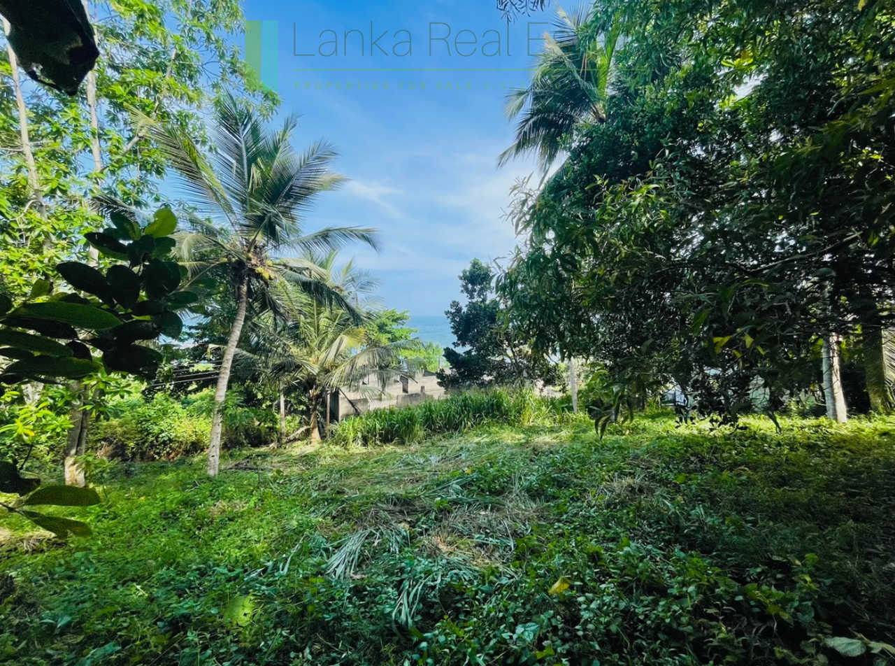 Elevated plot with ocean views at Talalla